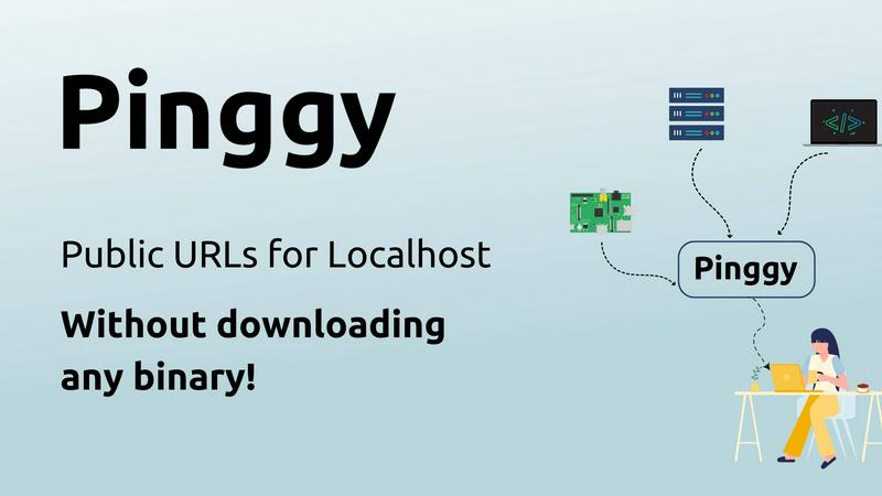 Pinggy application interface and features