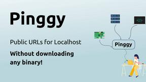 Pinggy